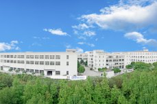 攜手同心、行而不輟，奔赴美好的